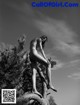 Hot nude art photos by photographer Denis Kulikov (265 pictures) P59 No.0cccb7